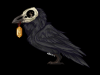 RavenMocker
